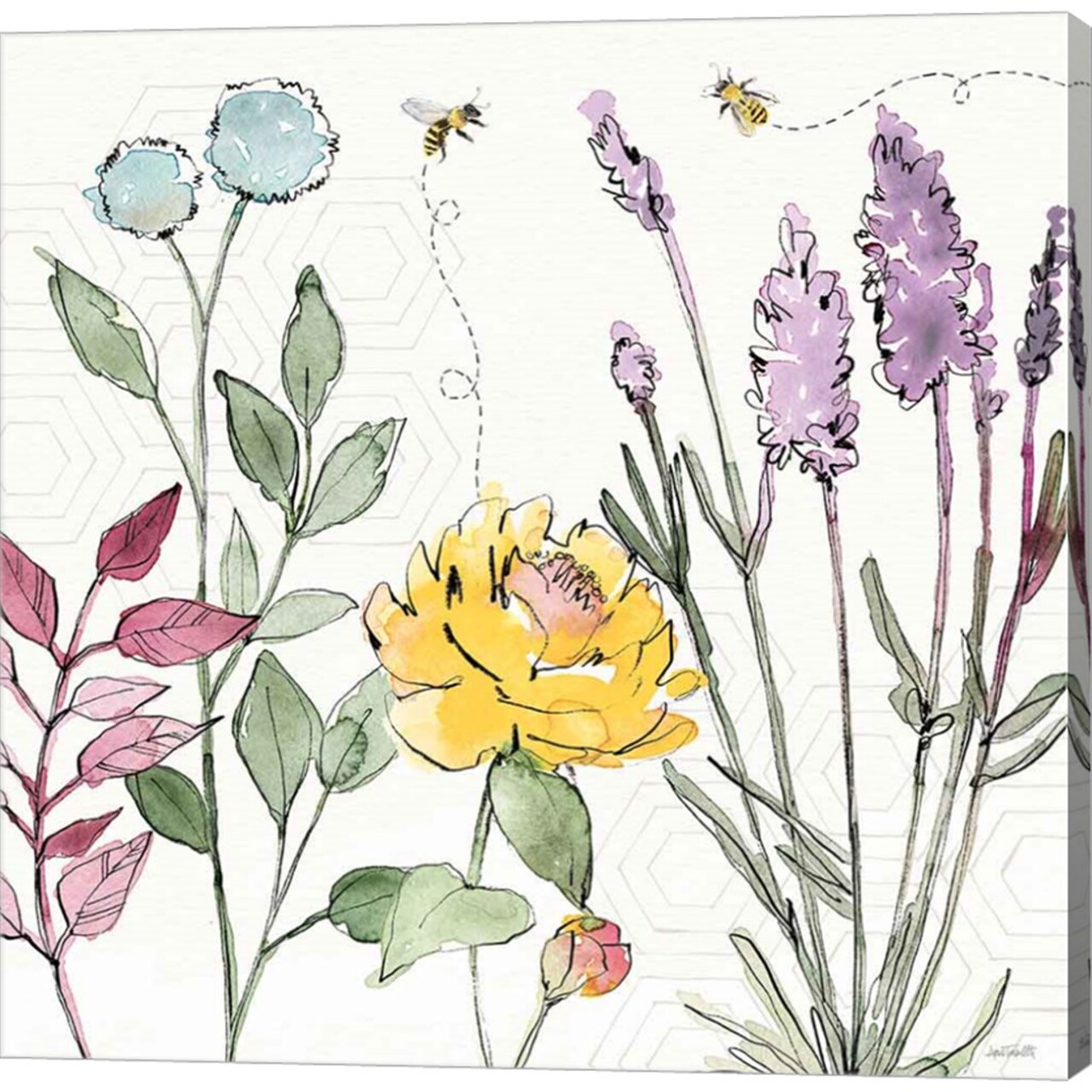 Honeybee Blossoms II by Anne Tavoletti 24" x 24" Canvas Wall Art